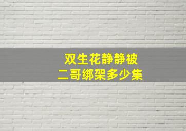 双生花静静被二哥绑架多少集