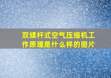 双螺杆式空气压缩机工作原理是什么样的图片