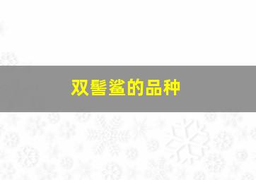 双髻鲨的品种