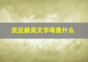 反应器英文字母是什么