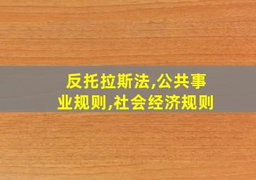 反托拉斯法,公共事业规则,社会经济规则