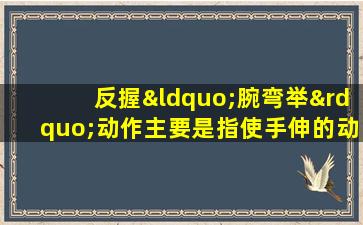 反握“腕弯举”动作主要是指使手伸的动作