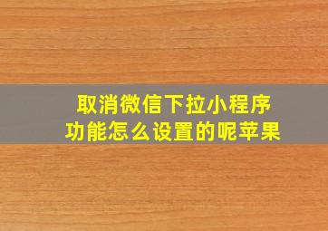 取消微信下拉小程序功能怎么设置的呢苹果