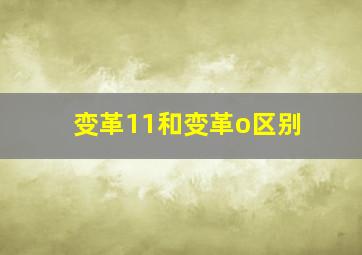 变革11和变革o区别