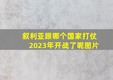 叙利亚跟哪个国家打仗2023年开战了呢图片