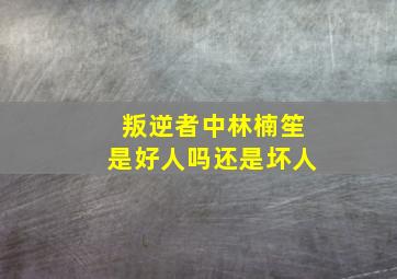 叛逆者中林楠笙是好人吗还是坏人