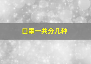 口罩一共分几种