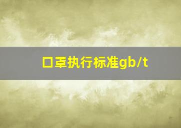 口罩执行标准gb/t