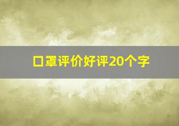 口罩评价好评20个字