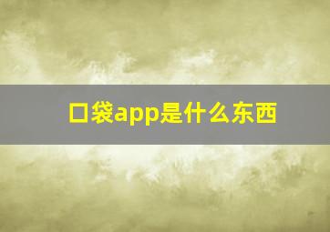 口袋app是什么东西