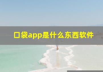 口袋app是什么东西软件