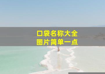 口袋名称大全图片简单一点