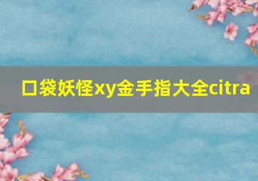 口袋妖怪xy金手指大全citra