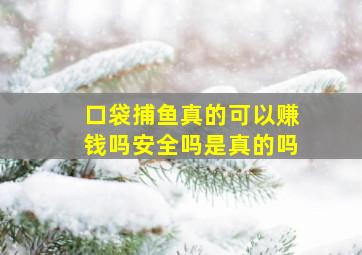 口袋捕鱼真的可以赚钱吗安全吗是真的吗