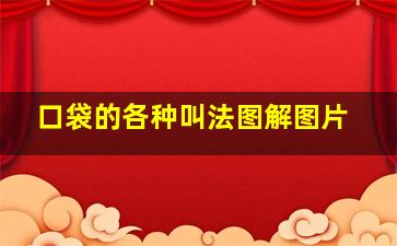 口袋的各种叫法图解图片