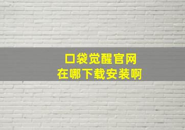 口袋觉醒官网在哪下载安装啊