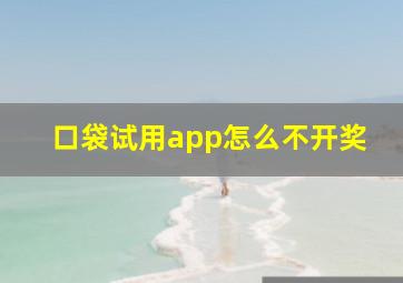 口袋试用app怎么不开奖