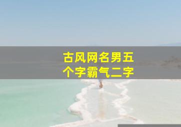 古风网名男五个字霸气二字