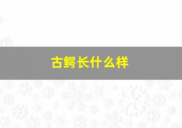 古鳄长什么样