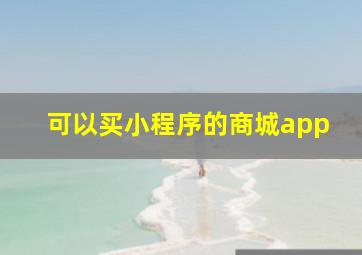 可以买小程序的商城app