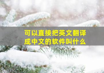 可以直接把英文翻译成中文的软件叫什么