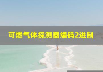 可燃气体探测器编码2进制