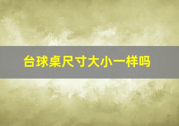 台球桌尺寸大小一样吗