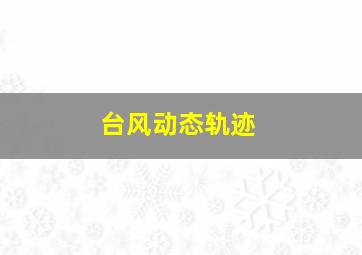 台风动态轨迹