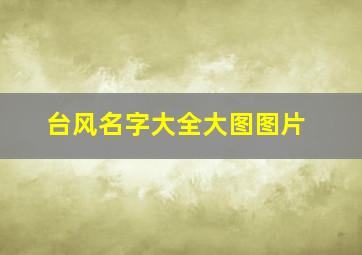 台风名字大全大图图片