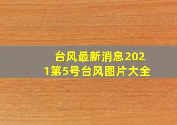 台风最新消息2021第5号台风图片大全