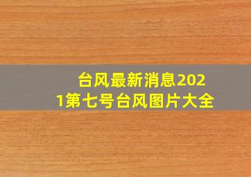 台风最新消息2021第七号台风图片大全