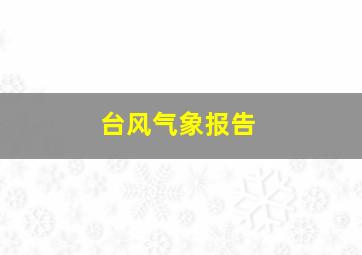 台风气象报告