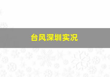 台风深圳实况