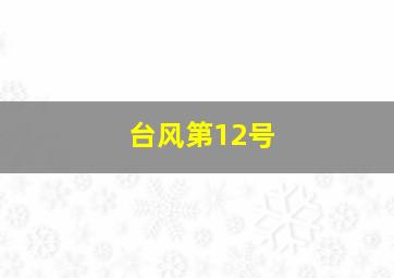 台风第12号