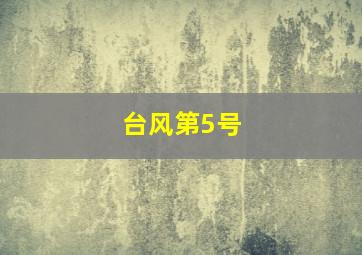 台风第5号