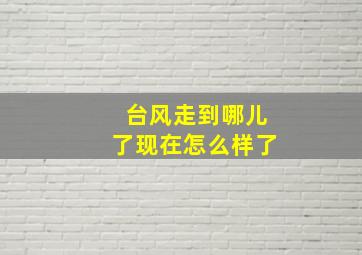 台风走到哪儿了现在怎么样了