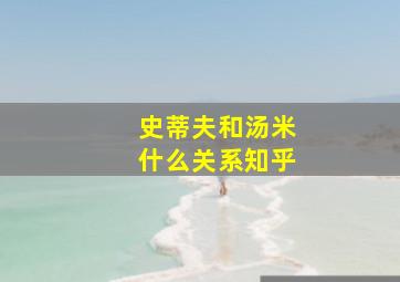 史蒂夫和汤米什么关系知乎