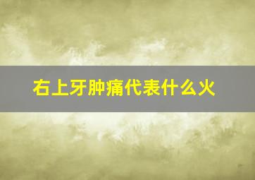 右上牙肿痛代表什么火