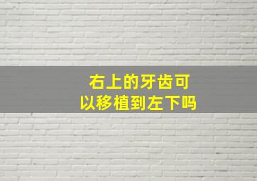 右上的牙齿可以移植到左下吗