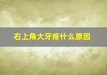 右上角大牙疼什么原因