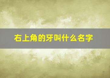 右上角的牙叫什么名字