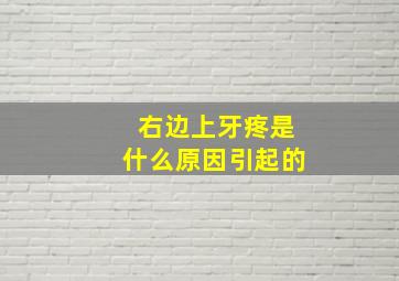 右边上牙疼是什么原因引起的