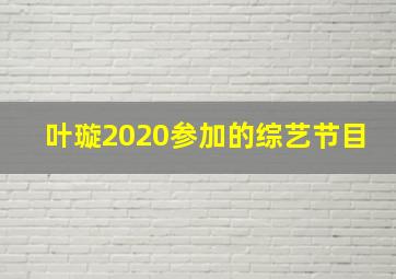 叶璇2020参加的综艺节目