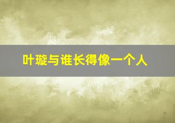 叶璇与谁长得像一个人