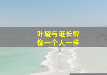 叶璇与谁长得像一个人一样