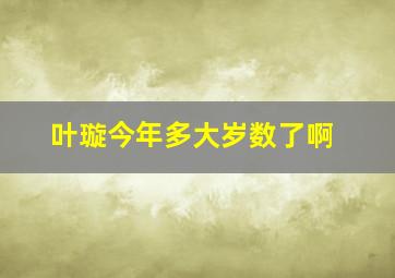 叶璇今年多大岁数了啊