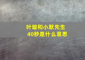 叶璇和小默先生40秒是什么意思