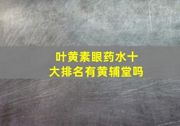 叶黄素眼药水十大排名有黄辅堂吗