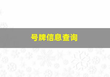 号牌信息查询