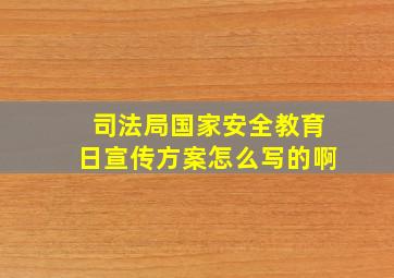 司法局国家安全教育日宣传方案怎么写的啊